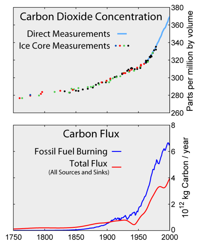 the need carbon history